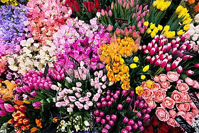 治愈游戏《猫次郎》上线Steam页面 11月1日发售