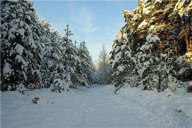 仅售149元！76%好评《赛博朋克2077》Steam限时半价促销